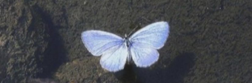 cc0x99's profile banner image