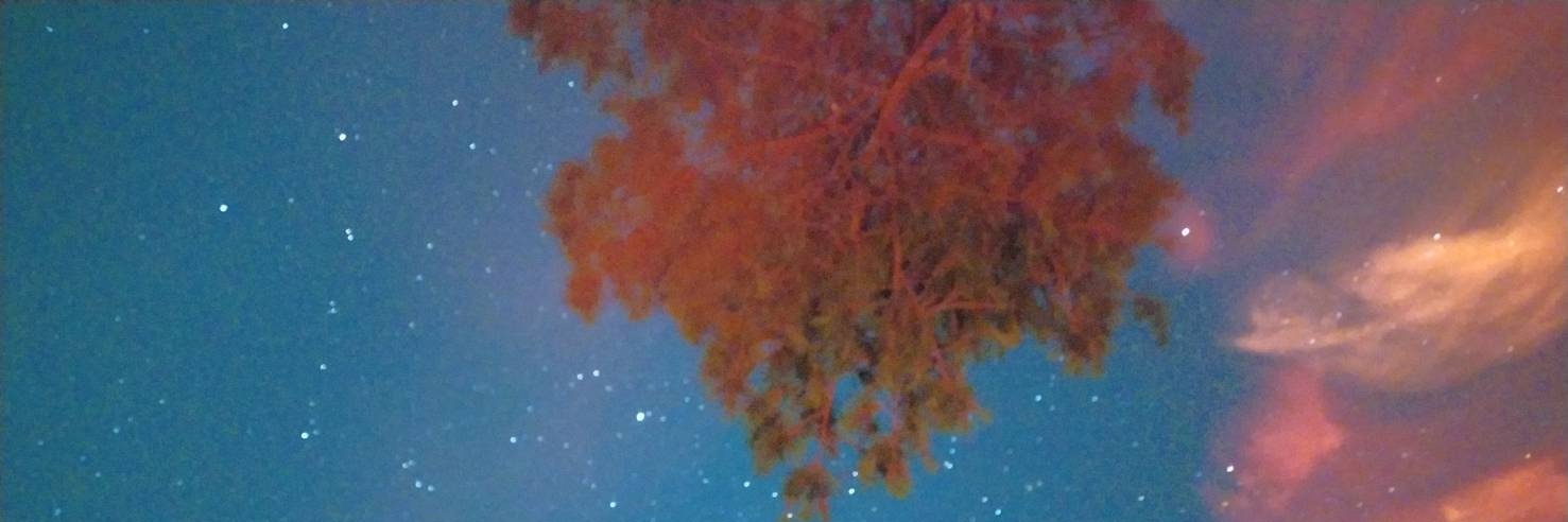 PrinceAlien__'s profile banner image