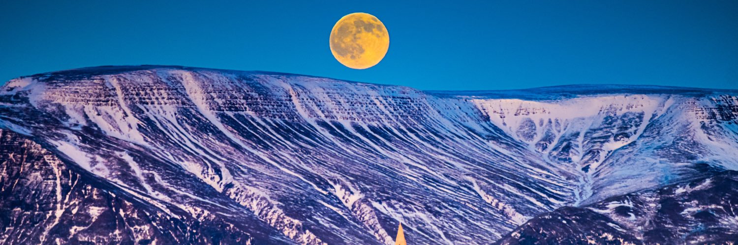 Dr. Matti Palli banner