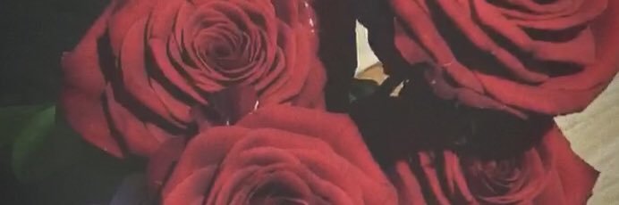 LucieSmn3's profile banner image