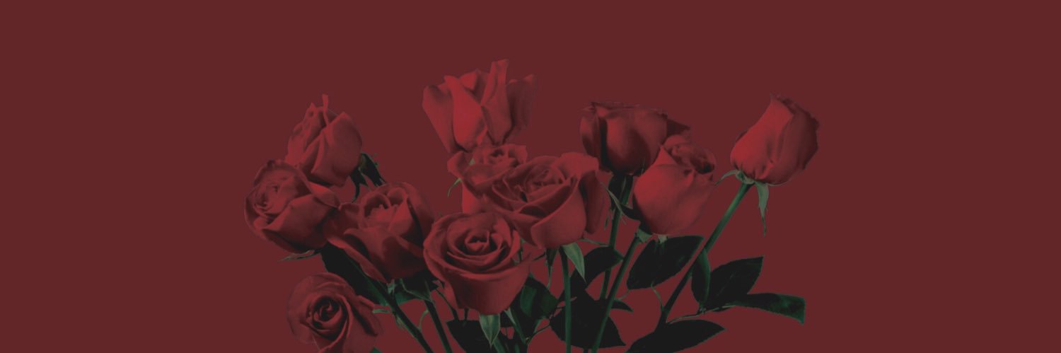 freddiedarlings's profile banner image