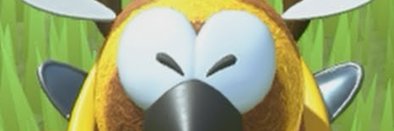 Imora banner