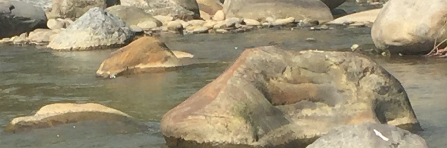 सुश्रुत धिताल banner