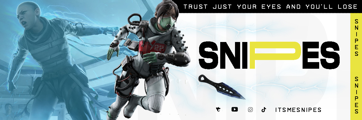 Snipes banner