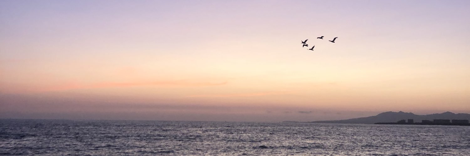 HdzaKarol's profile banner image