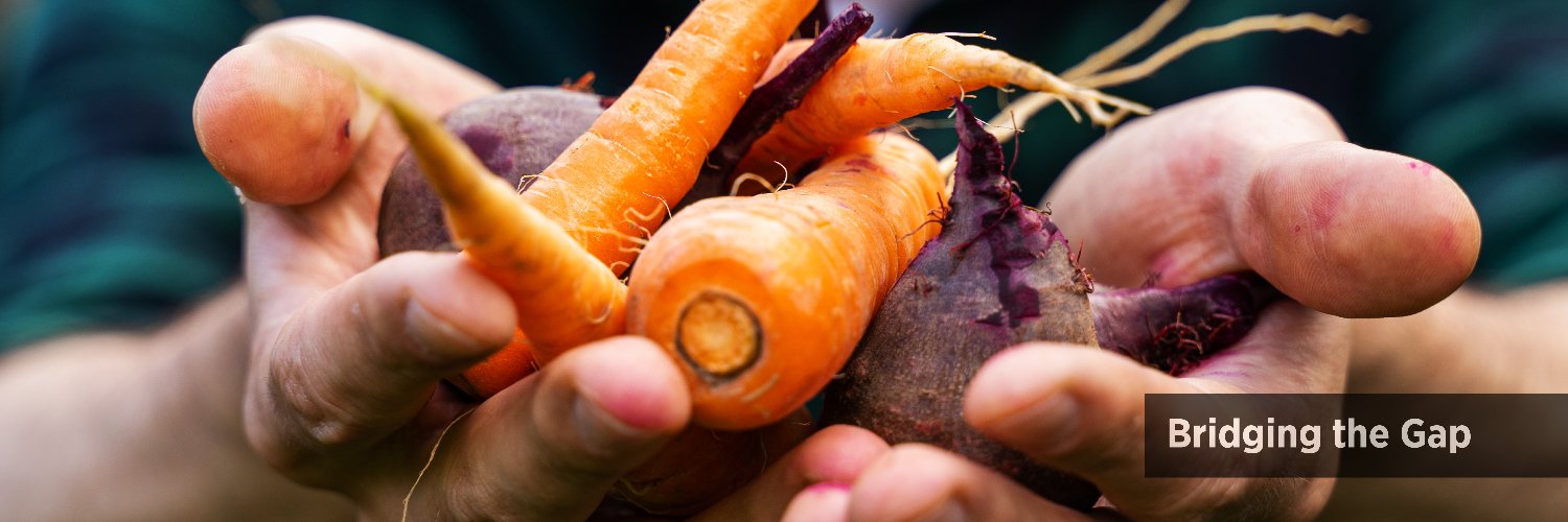 SecondHarvestSC's profile banner image