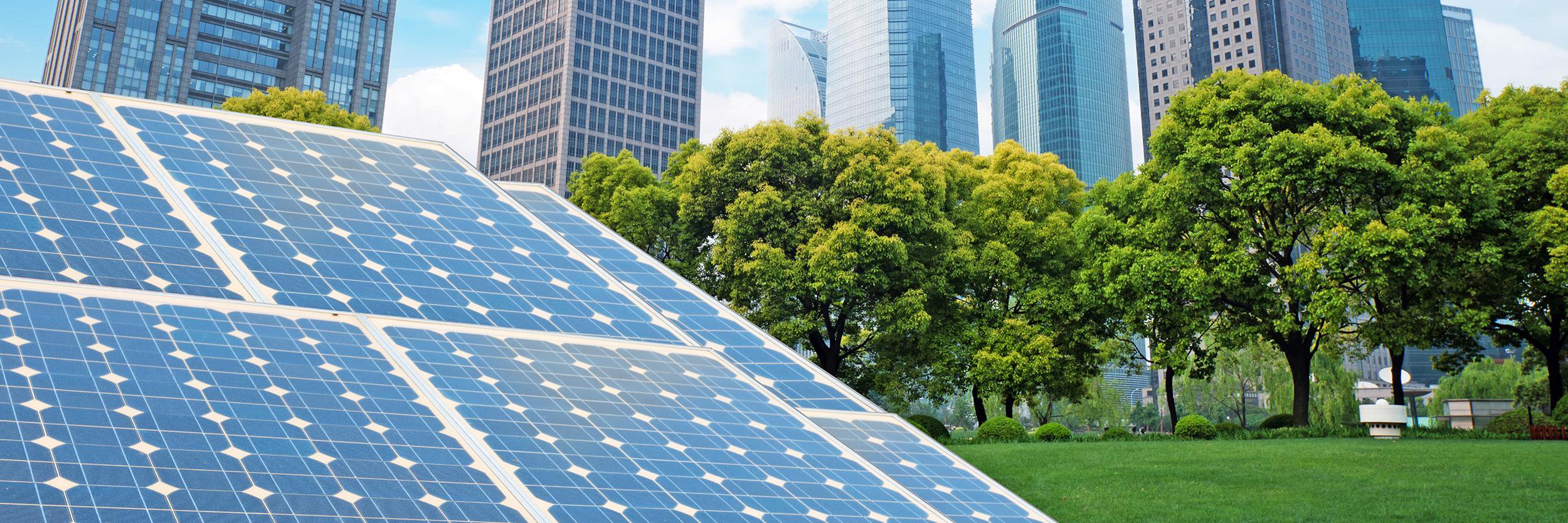 Melanie Nutter banner