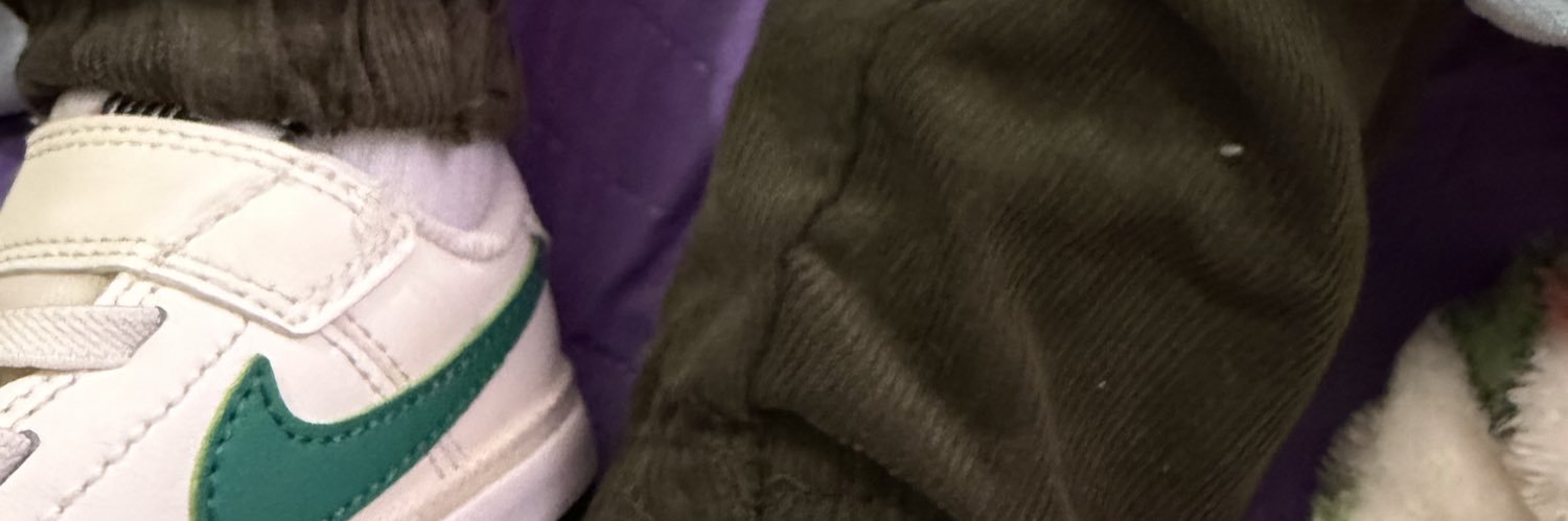 vrieliz's profile banner image