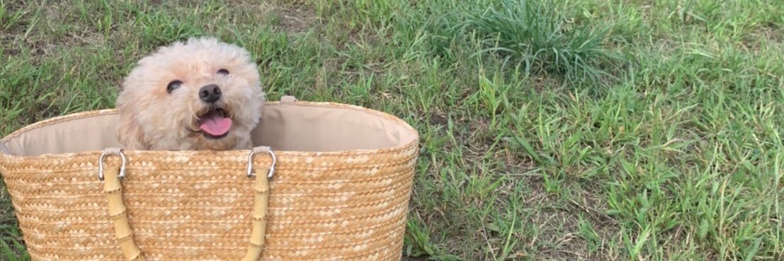 ⚛️makitango1🩵 banner