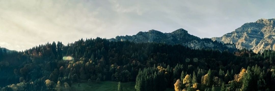 E-Punk banner