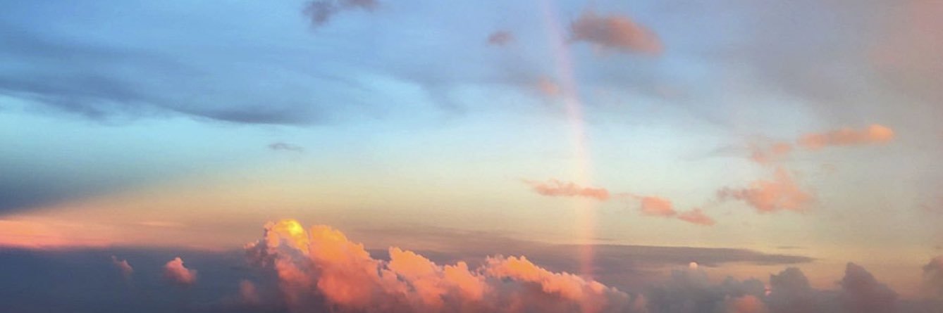 🌸•ᴗ•🌸 banner