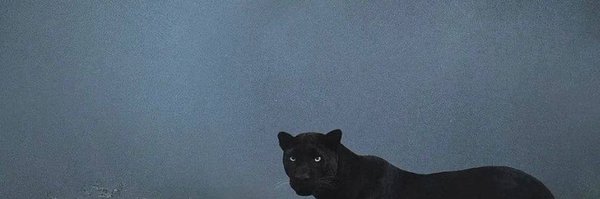 vv_iv2 Profile Banner