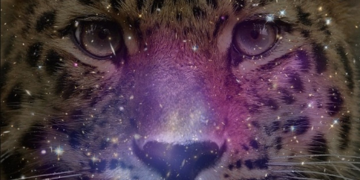 naranadd's profile banner image