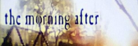 fede banner