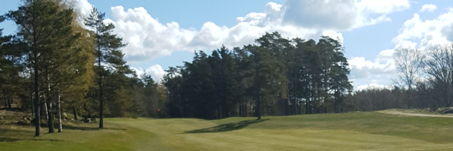 Irganox's profile banner image