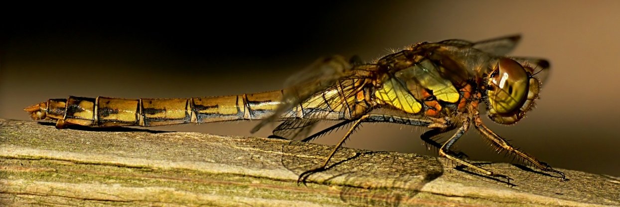 profmoriartycom's profile banner image