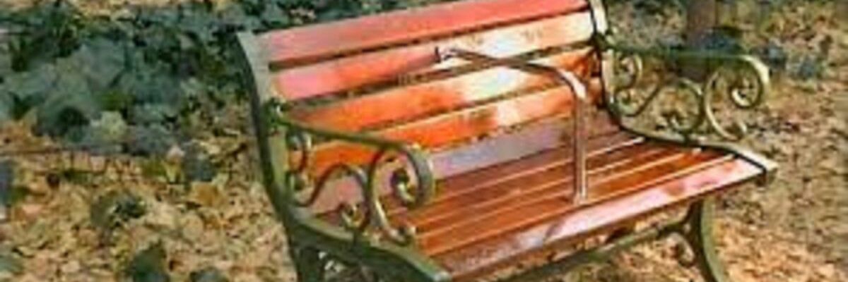 RO08436585's profile banner image