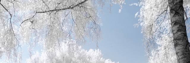 ⛄₹“ IQ ”₹❄ banner