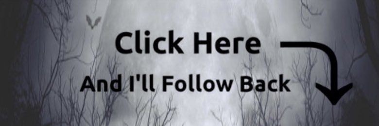 🇺🇸American Patriot🇺🇸 banner