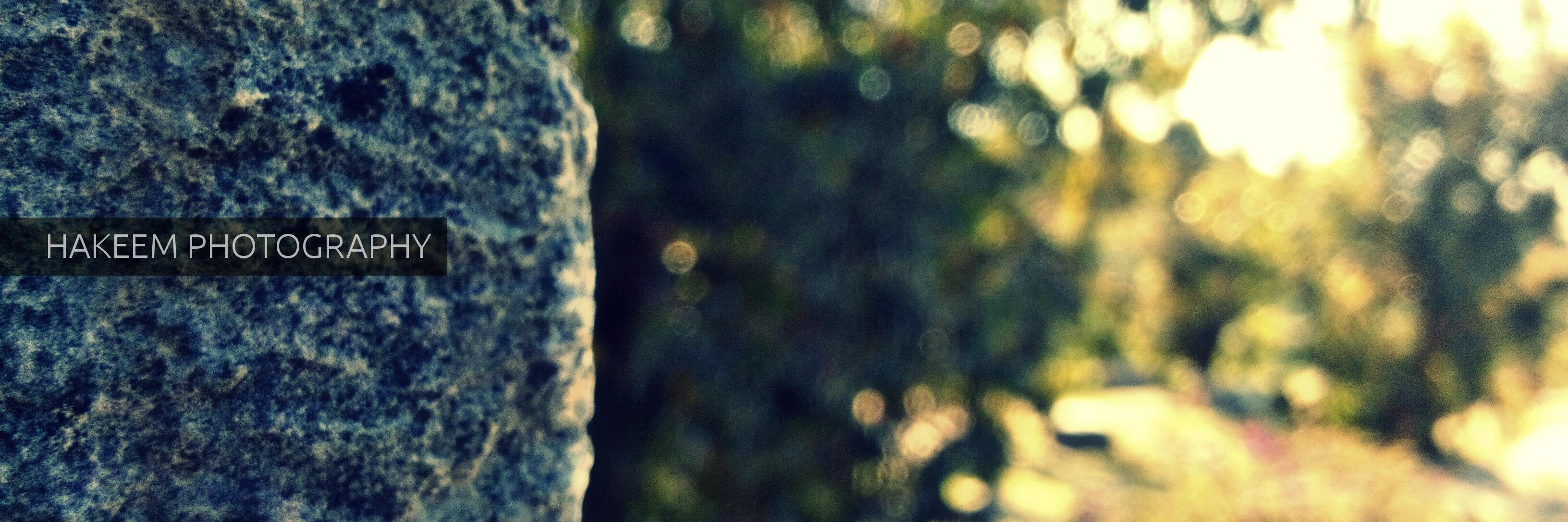 wa_evolution's profile banner image