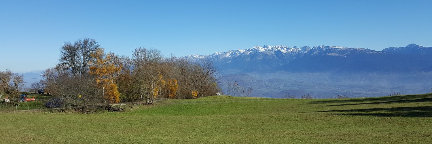 pmfournier's profile banner image
