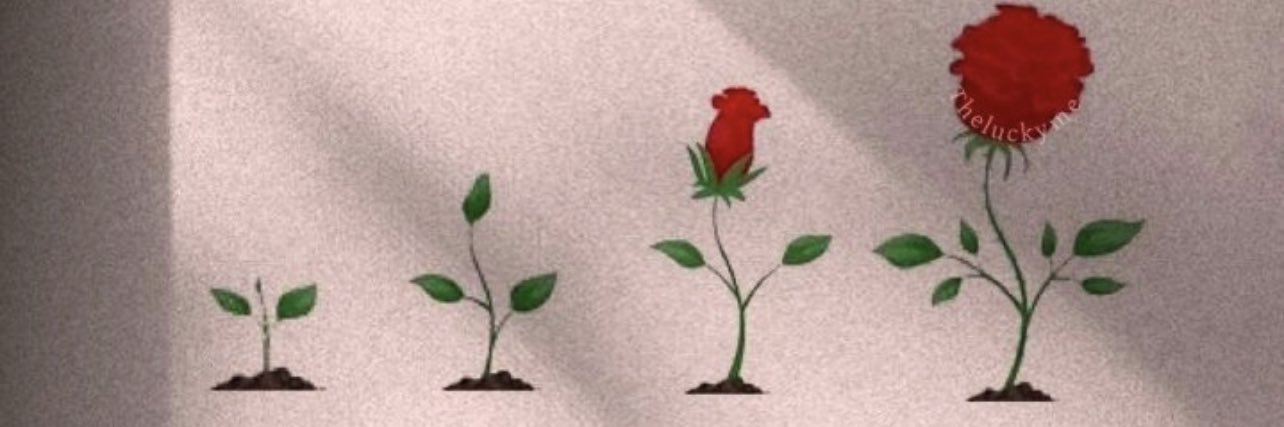 lifewithanielka's profile banner image