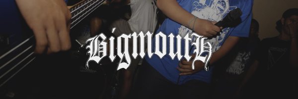 BigmouthHC Profile Banner