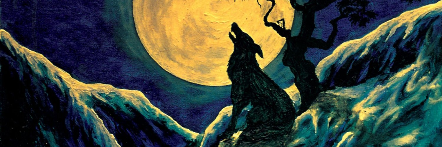 santana banner