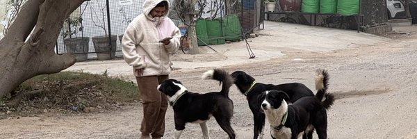 YSaghal Profile Banner