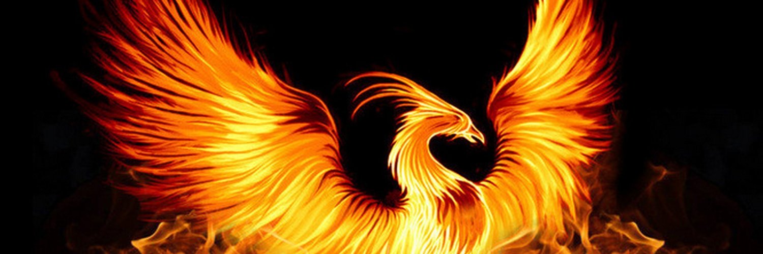 LacmanovicMarko's profile banner image