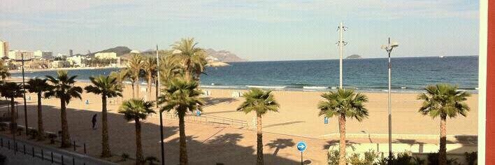 Paco Sirvent Llorens banner