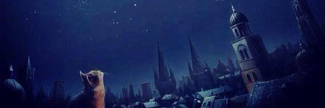 DomingoZam's profile banner image