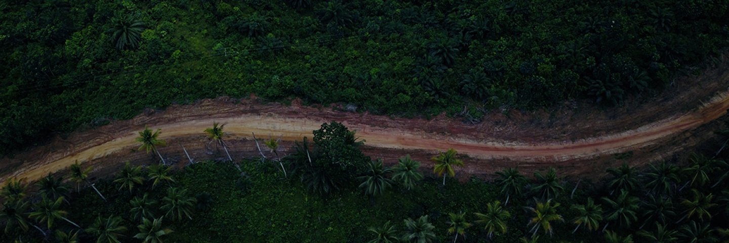 Future Africa banner