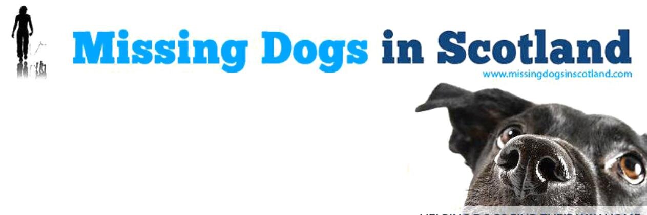MissingDogsScot's profile banner image