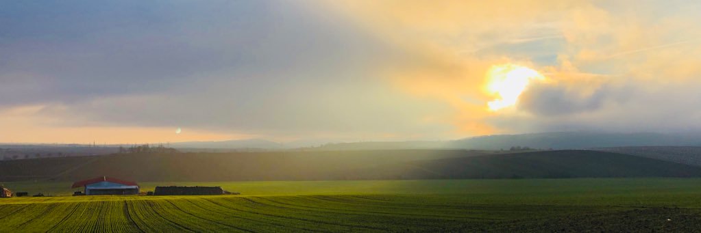 leveto's profile banner image