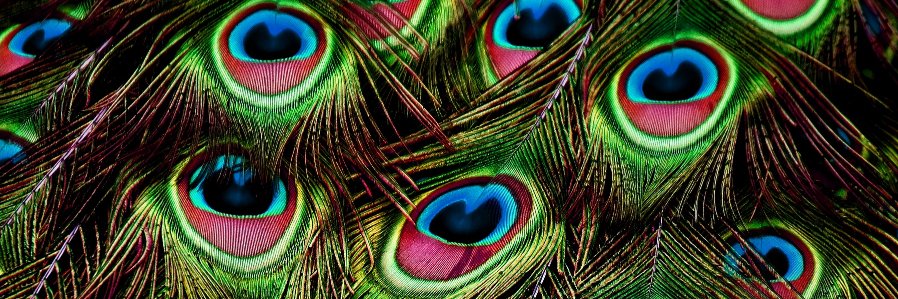 TDuff_N_Stuff's profile banner image