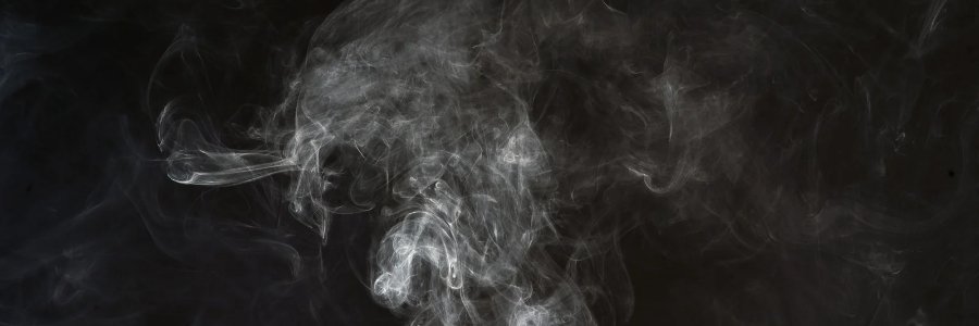 MaleficentPhoenix banner