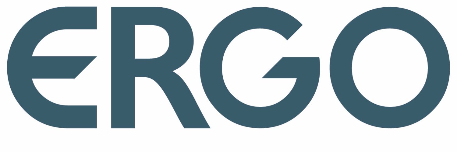 Ergo Consultancy banner
