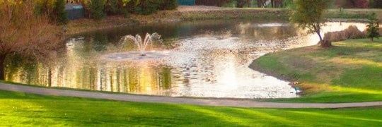 shoesy_R's profile banner image
