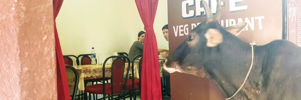 Casey_OB's profile banner image