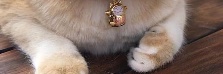 หมาจะมาบอกรักคุณแฟนครับ🐶 banner