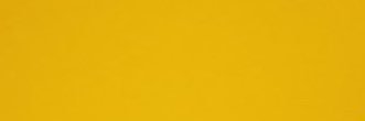 gustavo banner