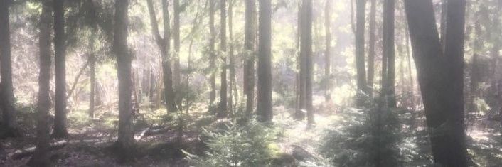 fa1rygore's profile banner image