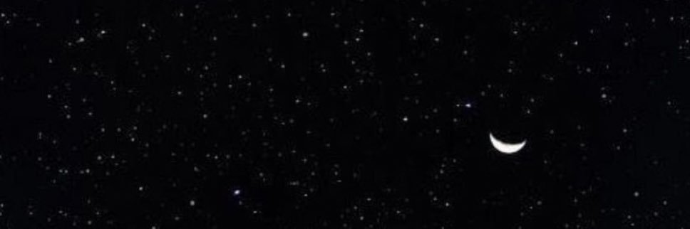 Triena1420's profile banner image