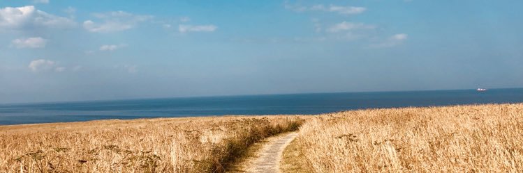 Dotspod the Perpetually Irritated banner