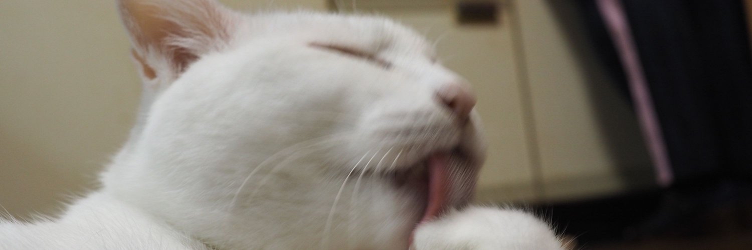 icchannnn's profile banner image