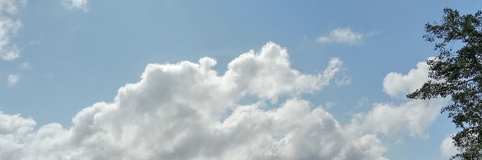 zackkid_33's profile banner image