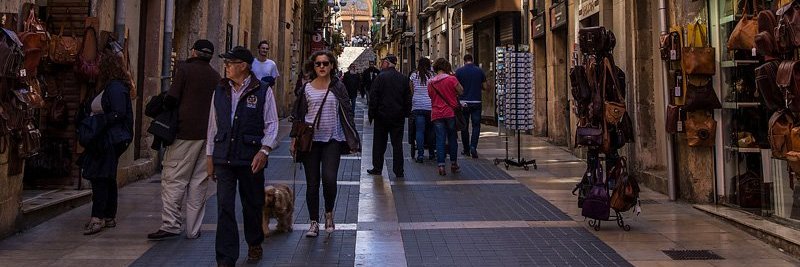 AcieCat's profile banner image