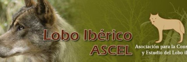 ASCEL's banner