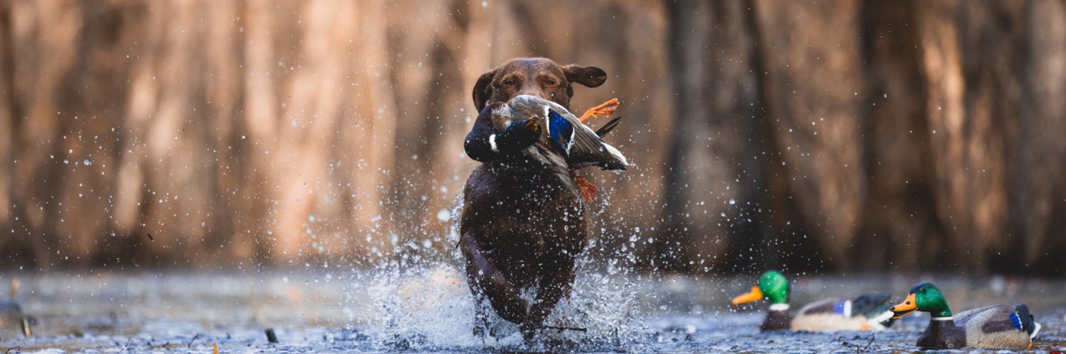 Patton Whicker banner